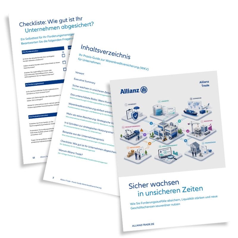 Vorschau Praxisguide "Sicher wachsen in unsicheren Zeiten"