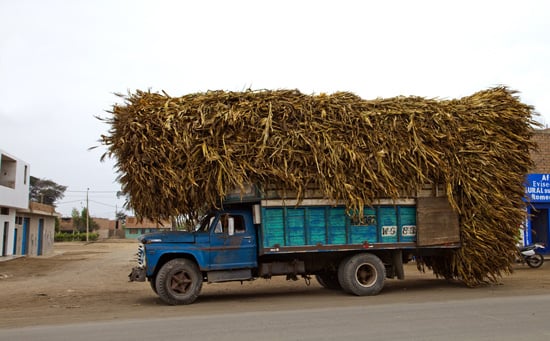 Bild Lastwagen mit Heu